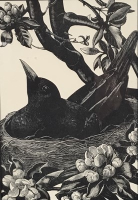 Lot 40 - Clare Leighton (1898-1989) woodcut - Blackbird, 1930's, probably first edition, 17.5cm x 12cm, in glazed frame