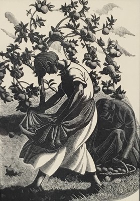 Lot 41 - Clare Leighton (1898-1989) first edition woodcut - Gathering Windfalls, 1935, 17.5cm x 12.5cm, in glazed frame