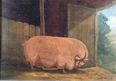 Lot 60 - English Naive school oil on panel - A Prize Pig, indistinctly signed, 23cm x 32cm, in gilt frame