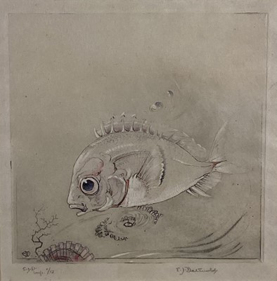 Lot 122 - Edward J Detmold (1883-1957) etching - Fish, signed and numbered, 12.5cm x 12.5cm in glazed frame