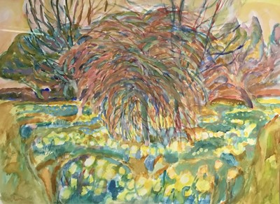 Lot 92 - Hans Schwarz (1922-2003) watercolour - ‘Daffodils in Somerset’, 1996, signed and dated, 54cm x 74cm, in glazed frame