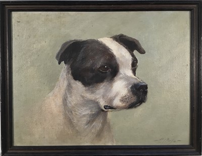 Lot 207 - E.J. Pander, oil on board - study of a black and white boxer dog, signed, 30cm x 39cm, in painted frame