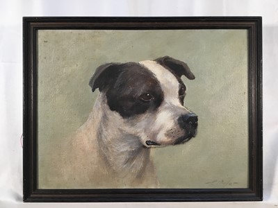 Lot 207 - E.J. Pander, oil on board - study of a black and white boxer dog, signed, 30cm x 39cm, in painted frame