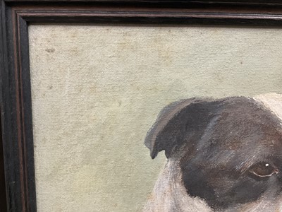 Lot 207 - E.J. Pander, oil on board - study of a black and white boxer dog, signed, 30cm x 39cm, in painted frame