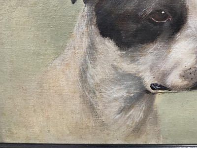 Lot 207 - E.J. Pander, oil on board - study of a black and white boxer dog, signed, 30cm x 39cm, in painted frame