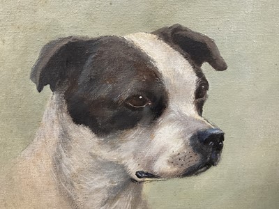 Lot 207 - E.J. Pander, oil on board - study of a black and white boxer dog, signed, 30cm x 39cm, in painted frame
