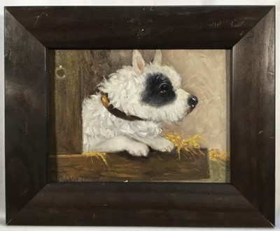 Lot 217 - Henry Percy, oil on board - A Black and White Terrier, signed, 14cm x 19cm, in wooden frame