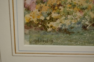 Lot 1349 - Helen Allingham (1848-1926) watercolour - 'Azaleas at Kew', signed, 20.5cm x 24.5cm, in glazed gilt frame.