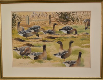 Lot 1245 - John Davis (Contemporary) watercolour - Pink-feet at Overy Marshes, Norfolk, signed and inscribed, 32.5cm x 46cm, in glazed frame