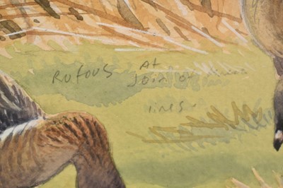 Lot 1245 - John Davis (Contemporary) watercolour - Pink-feet at Overy Marshes, Norfolk, signed and inscribed, 32.5cm x 46cm, in glazed frame