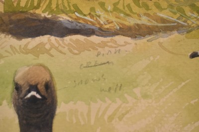 Lot 1245 - John Davis (Contemporary) watercolour - Pink-feet at Overy Marshes, Norfolk, signed and inscribed, 32.5cm x 46cm, in glazed frame