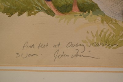 Lot 1245 - John Davis (Contemporary) watercolour - Pink-feet at Overy Marshes, Norfolk, signed and inscribed, 32.5cm x 46cm, in glazed frame