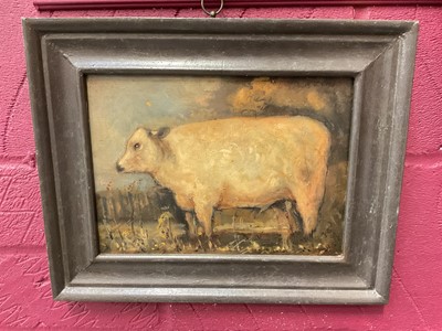 Lot 351 - Oil on panel study of a cow, framed