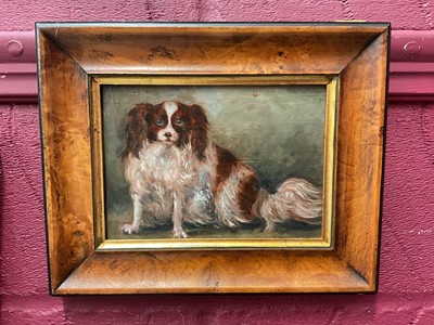 Lot 352 - Oil on panel study of a spaniel, framed