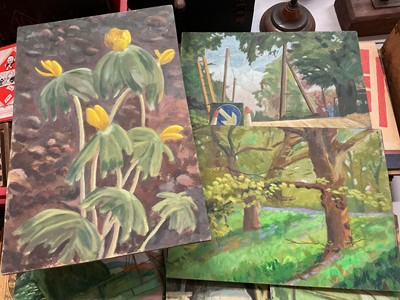 Lot 301 - Group of unframed oils on boards, mostly landscapes