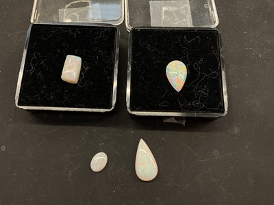 Lot 1151 - Four Australian opals, unmounted