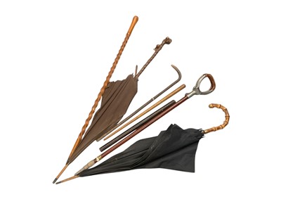 Lot 461 - Shooting stick, umbrellas and other sticks.