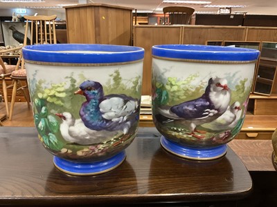 Lot 206 - Pair of 19th century continental jardinieres painted with pigeons