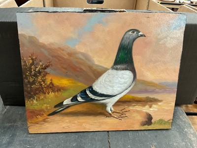 Lot 104 - Manner of E.H. Windred, oil on board, racing pigeon