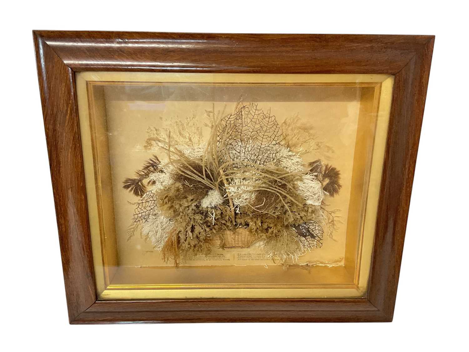 Lot 779 - 19th century seaweed basket diorama