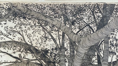 Lot 29 - Michael Arth, American, b.1953. “Tropical Fig Tree”, 1975, original hand coloured etching. 44 x 54cm excluding frame. In glazed frame.
