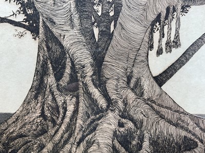 Lot 29 - Michael Arth, American, b.1953. “Tropical Fig Tree”, 1975, original hand coloured etching. 44 x 54cm excluding frame. In glazed frame.