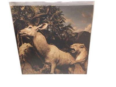 Lot 2281 - Interpol LPs including Unknown Pleasure & Turn on the Bright Lights etc (9)