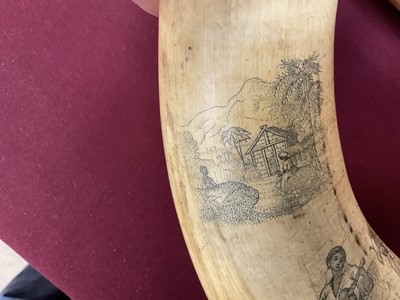 Lot 787 - Pair of 19th century scrimshaw cow horns with finely engraved decoration