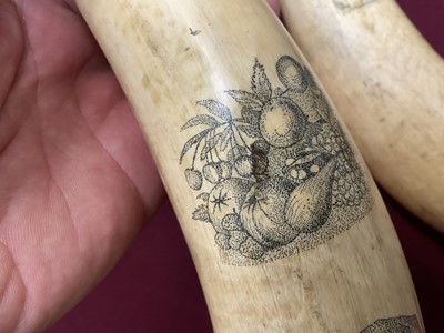 Lot 787 - Pair of 19th century scrimshaw cow horns with finely engraved decoration