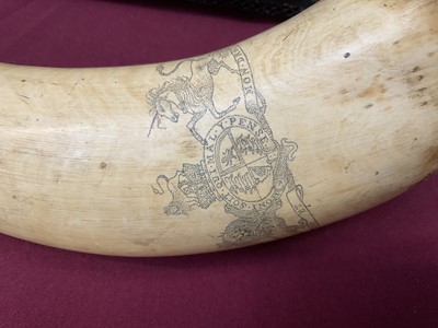 Lot 787 - Pair of 19th century scrimshaw cow horns with finely engraved decoration