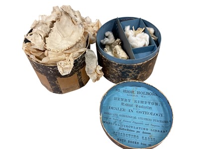 Lot 2499 - 19th century human skull prepared for medical education purposes and other human bone remains with two cardboard containers retailed by Henry Kimpton 82 High Holborn, London