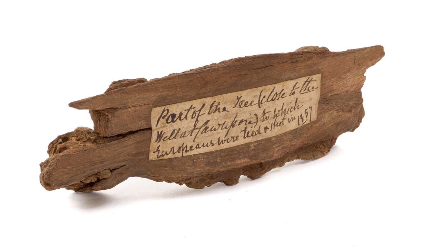 Lot 120 - Indian Mutiny Interest- a fragment of tree relic with attached label inscribed in ink "Part of the tree (close to the well at Cawnpore) to which Europeans were tied and shot in 1857"