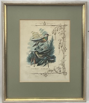 Lot 98 - 19th century English School group of seven hand-coloured lithographs each of a pair of Humming Birds, 26.5cm x 21.5cm each