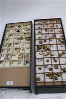 Lot 647 - Two trays of brass and staybrite military buttons