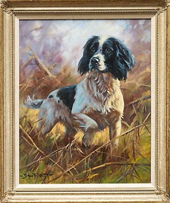 Lot 973 - *John Trickett (b.1952) oil on canvas - A Springer Spaniel, signed, 51cm x 40.5cm, in gilt frame