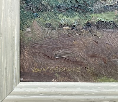 Lot 10 - John Osborne (b. 1939) oil on board - Allotment, signed, 14.5cm x 24.5cm, framed