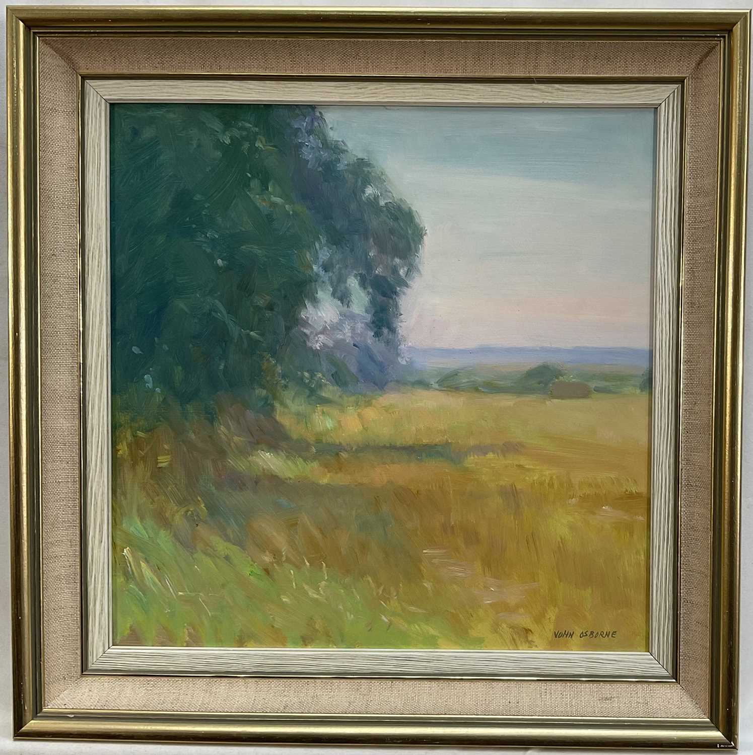 Lot 5 - John Osborne (b. 1939) oil on board - Landscape at field edge, signed, 29.5cm x 29.5cm, framed