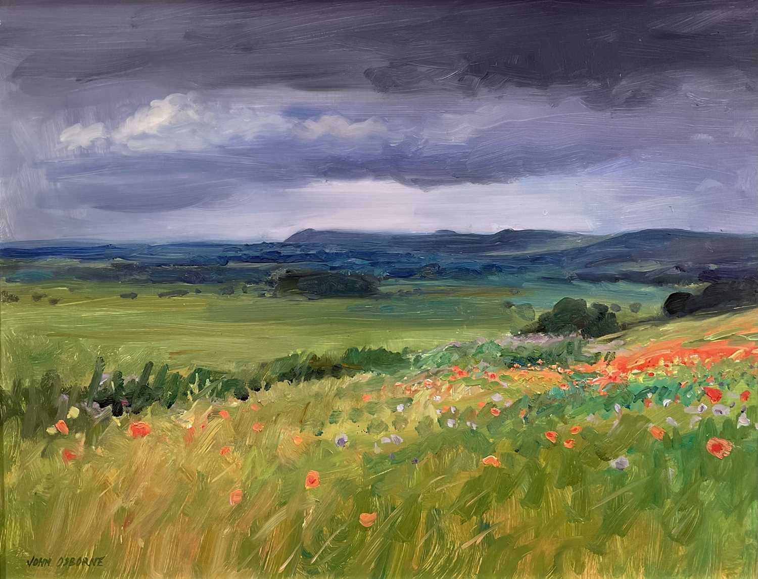 Lot 7 - John Osborne (b. 1939) oil on board - Poppy field, signed, 33cm x 44cm, framed