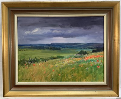 Lot 7 - John Osborne (b. 1939) oil on board - Poppy field, signed, 33cm x 44cm, framed