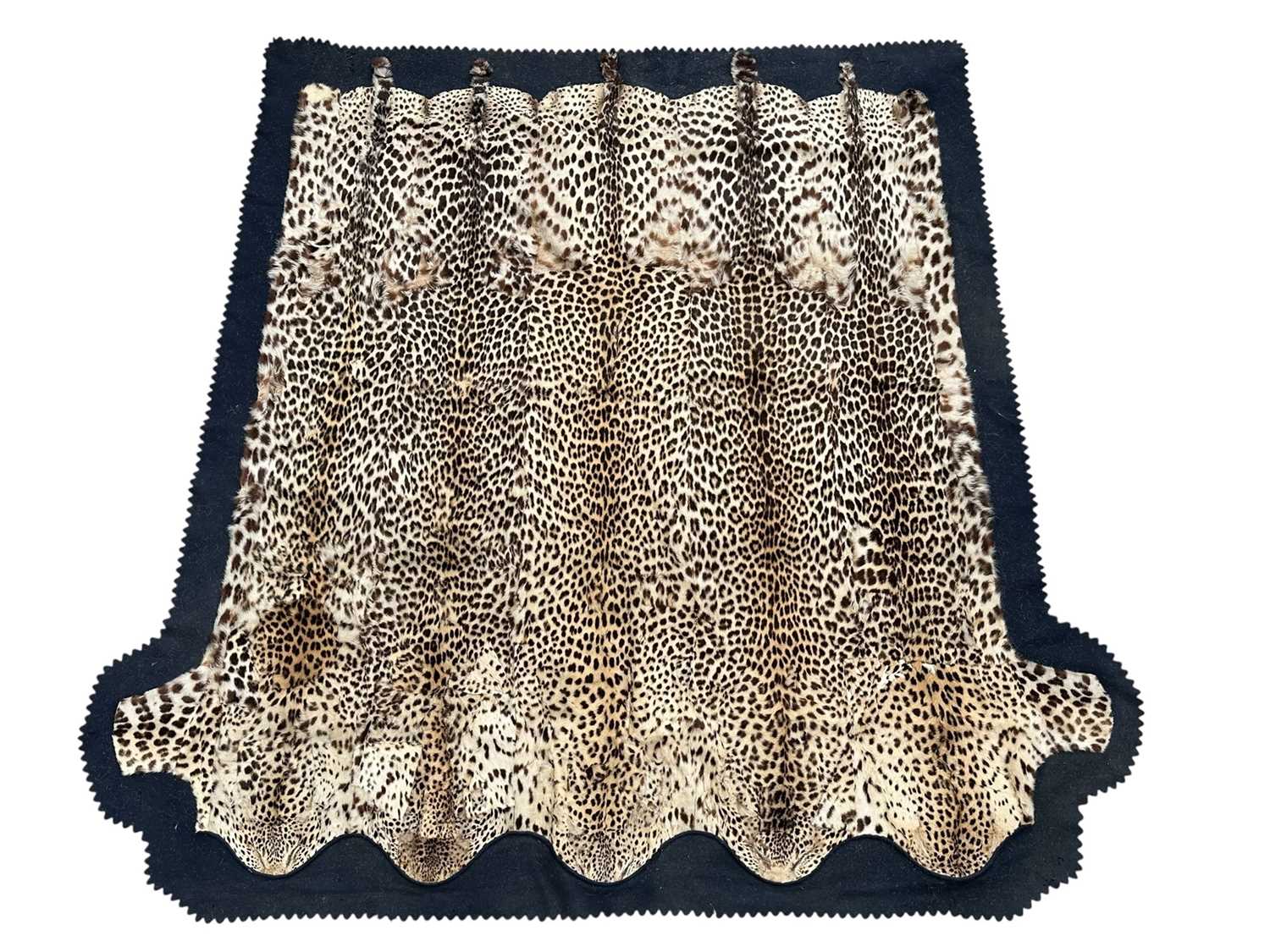 Lot 911 - Large Rowland Ward of London preserved Leopard pelts wall hanging, label to backing, 239cm x 222cm