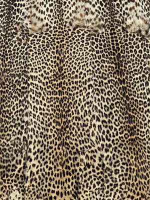 Lot 911 - Large Rowland Ward of London preserved Leopard pelts wall hanging, label to backing, 239cm x 222cm