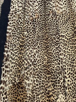 Lot 911 - Large Rowland Ward of London preserved Leopard pelts wall hanging, label to backing, 239cm x 222cm