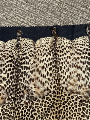 Lot 911 - Large Rowland Ward of London preserved Leopard pelts wall hanging, label to backing, 239cm x 222cm
