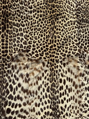 Lot 911 - Large Rowland Ward of London preserved Leopard pelts wall hanging, label to backing, 239cm x 222cm