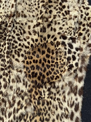 Lot 911 - Large Rowland Ward of London preserved Leopard pelts wall hanging, label to backing, 239cm x 222cm