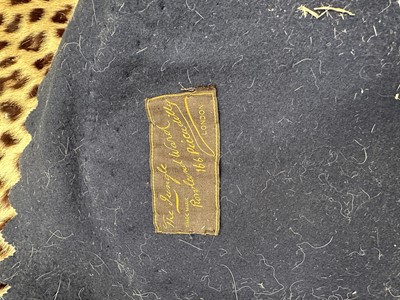 Lot 911 - Large Rowland Ward of London preserved Leopard pelts wall hanging, label to backing, 239cm x 222cm