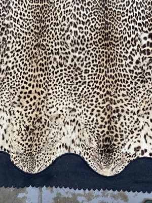 Lot 911 - Large Rowland Ward of London preserved Leopard pelts wall hanging, label to backing, 239cm x 222cm
