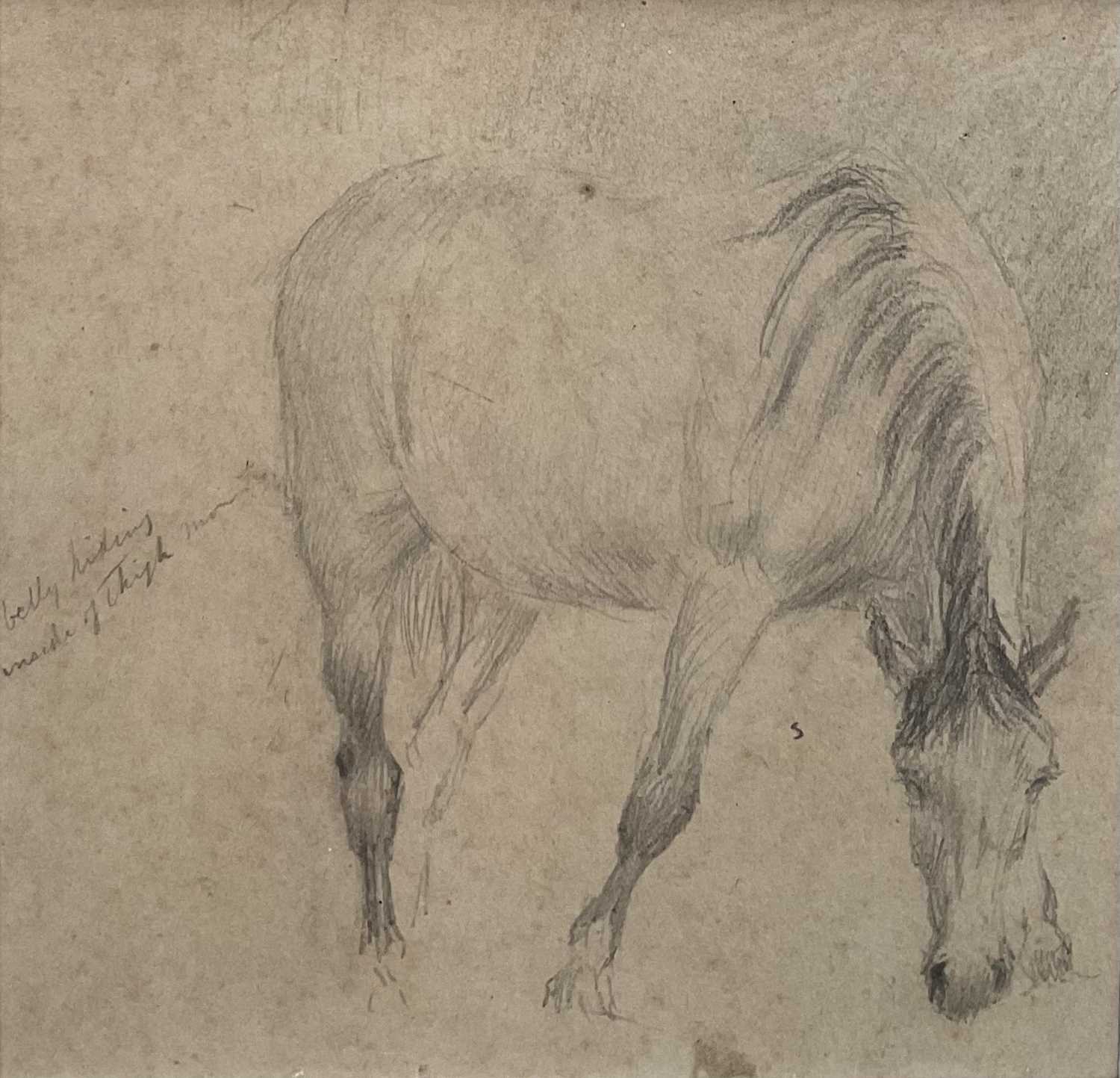 Lot 1336 - George Thomas Rope (1846-1929) pencil sketch - A Horse, inscribed, 11.5cm square, in glazed gilt frame Provenance: Xanthus Gallery, Norfolk. The collection of the late Lord Phillips of S...