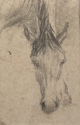Lot 1336 - George Thomas Rope (1846-1929) pencil sketch - A Horse, inscribed, 11.5cm square, in glazed gilt frame Provenance: Xanthus Gallery, Norfolk. The collection of the late Lord Phillips of S...