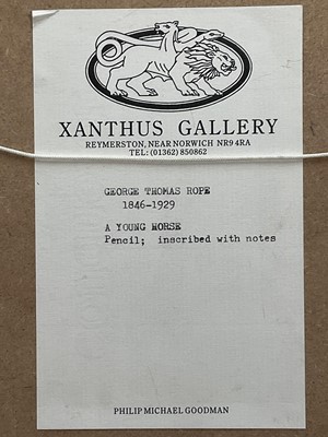 Lot 1336 - George Thomas Rope (1846-1929) pencil sketch - A Horse, inscribed, 11.5cm square, in glazed gilt frame Provenance: Xanthus Gallery, Norfolk. The collection of the late Lord Phillips of S...